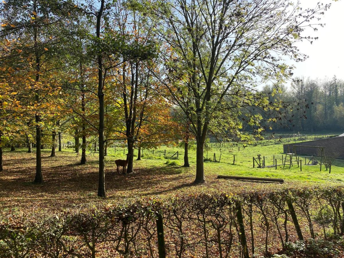 Villa Limburg Lux 90 Simpelveld Esterno foto